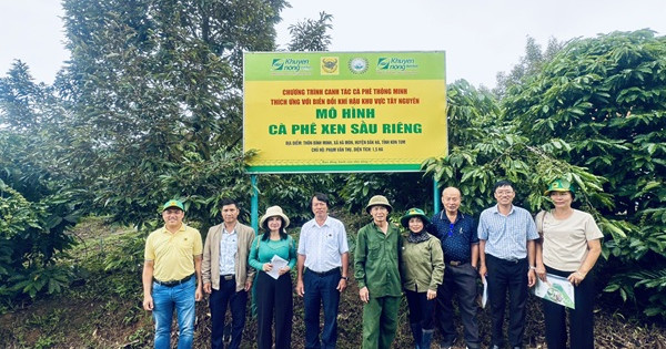 Hệ thống canh tác cà phê thông minh – Vai trò tích hợp của Công nghệ và Phân bón