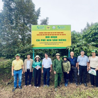 Hệ thống canh tác cà phê thông minh – Vai trò tích hợp của Công nghệ và Phân bón