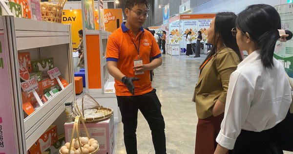 Trứng gia cầm: thị trường "vàng" chưa được khai thác hết tại Việt Nam