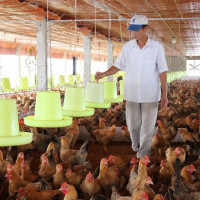 TP Hồ Chí Minh: Sau sáp nhập vùng chăn nuôi, nguồn cung thực phẩm tăng nhưng nỗi lo mới lộ diện