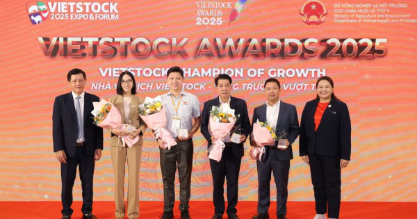 Vinh danh 13 doanh nghiệp xuất sắc tại Vietstock Awards 2025