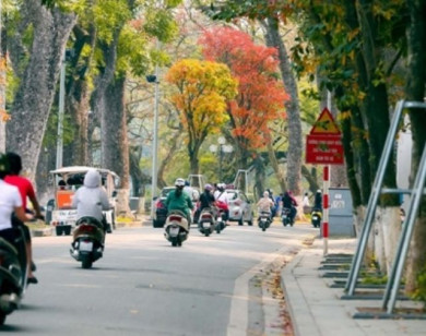 Thời tiết ngày 11/10/2025: Bắc Bộ tiếp tục nắng ráo