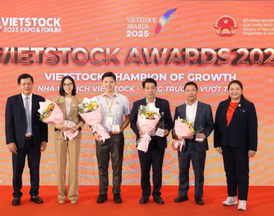 Vinh danh 13 doanh nghiệp xuất sắc tại Vietstock Awards 2025