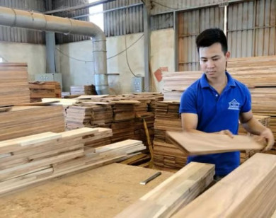 Thuế quan Mỹ làm khó ngành gỗ Việt