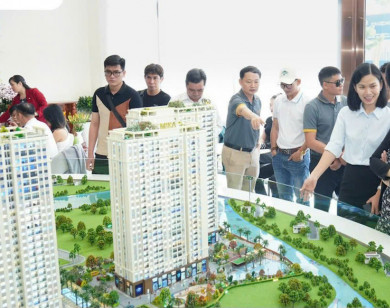 Doanh nghiệp bất động sản không được ủy quyền cho tổ chức, cá nhân khác ký hợp đồng đặt cọc, mua bán