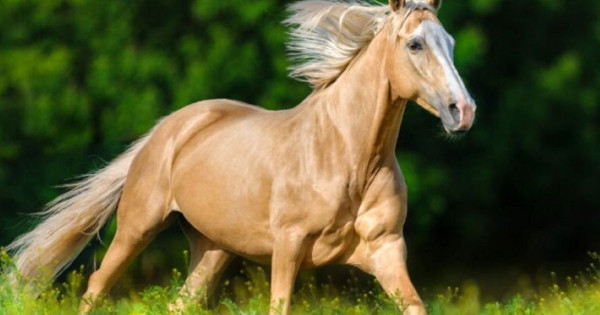 Con số may mắn tài lộc ngày 18/10/2025 của 12 con giáp