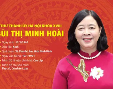 Tóm tắt tiểu sử Bí thư Thành ủy Hà Nội Bùi Thị Minh Hoài