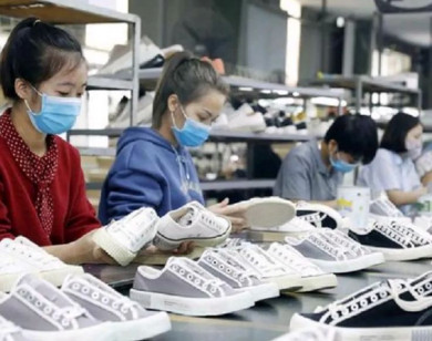 Doanh nghiệp Việt cần cơ chế đón đầu xu thế kinh tế tuần hoàn