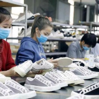 Doanh nghiệp Việt cần cơ chế đón đầu xu thế kinh tế tuần hoàn