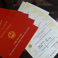 Những trường hợp nào sẽ bị thu hồi, hủy bỏ văn bằng, chứng chỉ?