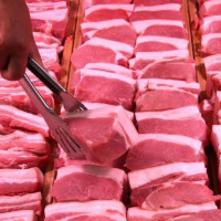 TP Hồ Chí Minh: Triển khai thí điểm giao dịch thịt heo qua sàn từ tháng 12/2025