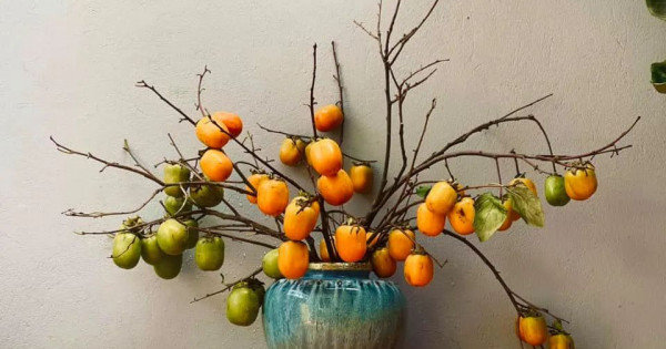 Tử vi ngày 27/10/2025 của 12 cung hoàng đạo: Tài chính của Cự Giải khá tốt