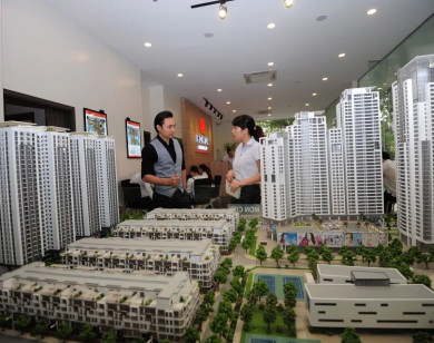 Đề xuất thành lập Trung tâm định giá, giao dịch bất động sản: Một liều thuốc chữa nhiều bệnh