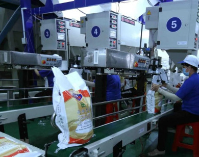 Bỏ điều kiện kinh doanh cho 21 ngành, nghề: Giảm tiền kiểm, tăng hậu kiểm