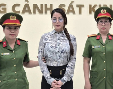 Khởi tố bị can, bắt tạm giam diễn viên Trương Ngọc Ánh