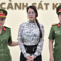 Khởi tố bị can, bắt tạm giam diễn viên Trương Ngọc Ánh