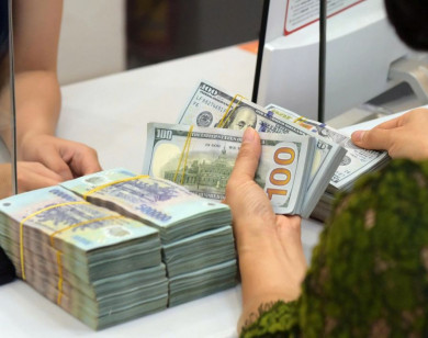 Giá ngoại tệ ngày 1/11/2025: USD tiếp đà tăng