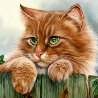 Con số may mắn tài lộc ngày 2/11/2025 của 12 con giáp