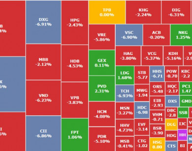 VN-Index lao dốc, cổ phiếu của "đại gia phố núi" bất ngờ tăng trần nhờ lý do này