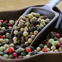 Giá nông sản ngày 3/11/2025: Hồ tiêu tăng nhẹ, cà phê ổn định