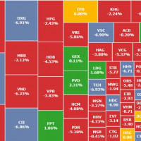 VN-Index lao dốc, cổ phiếu của 