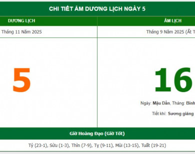 Lịch âm 5/11 chính xác nhất, lịch vạn niên ngày 5/11/2025: Việc nên và không nên làm?