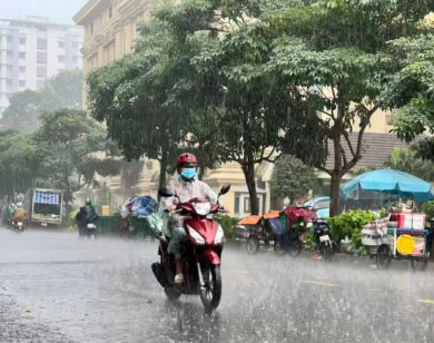 Thời tiết ngày 5/11/2025: Trung Bộ sắp hứng gió mạnh và mưa to