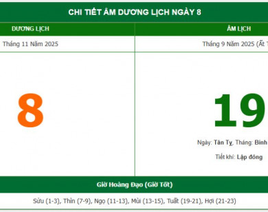 Lịch âm 8/11 chính xác nhất, lịch vạn niên ngày 8/11/2025: Việc nên và không nên làm?
