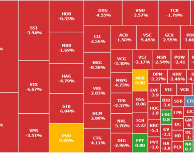 Thị trường thủng mốc 1.600, một cổ phiếu tân binh của UPCoM vẫn tăng vọt