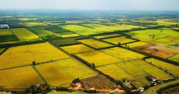 Trường hợp nào được miễn thuế sử dụng đất nông nghiệp đến hết ngày 31/12/2030?