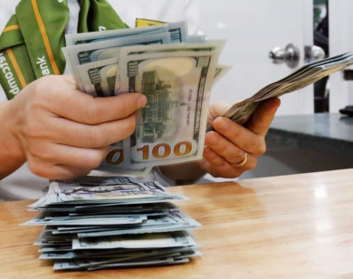 Giá ngoại tệ ngày 8/11/2025: USD giá chững lại