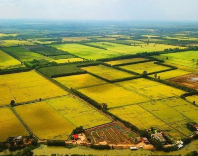 Trường hợp nào được miễn thuế sử dụng đất nông nghiệp đến hết ngày 31/12/2030?