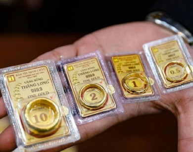 Giá vàng ngày 9/11/2025: SJC “neo” ở ngưỡng cao