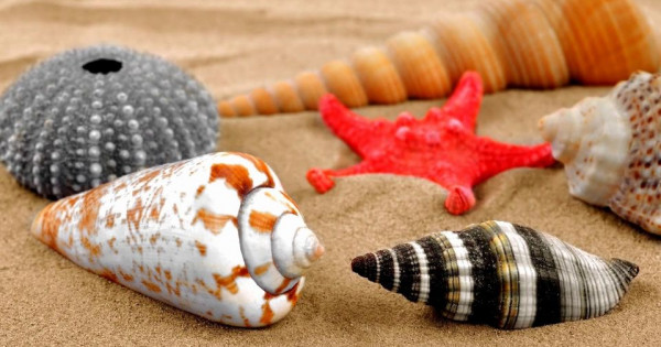 Tử vi ngày 11/11/2025 của 12 cung hoàng đạo: Ma Kết cần cố gắng hơn