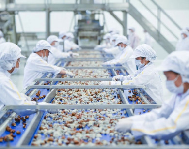 Xuất khẩu nông sản băng băng về đích