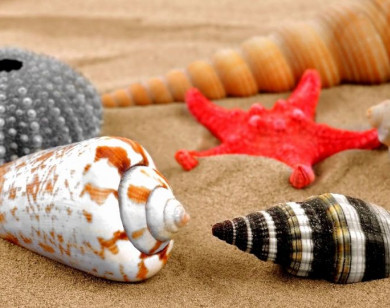 Tử vi ngày 11/11/2025 của 12 cung hoàng đạo: Ma Kết cần cố gắng hơn