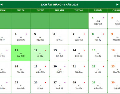 Lịch âm 12/11 chính xác nhất, lịch vạn niên ngày 12/11/2025: Việc nên và không nên làm?