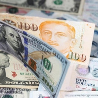 Giá ngoại tệ ngày 11/11/2025: USD tăng nhẹ trở lại