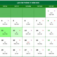 Lịch âm 12/11 chính xác nhất, lịch vạn niên ngày 12/11/2025: Việc nên và không nên làm?