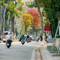 Thời tiết ngày 12/11/2025: Bắc Bộ trưa chiều hửng nắng