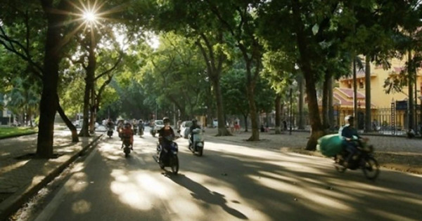 Thời tiết ngày 13/11/2025: Bắc Bộ ngày nắng, trời rét về đêm và sáng sớm