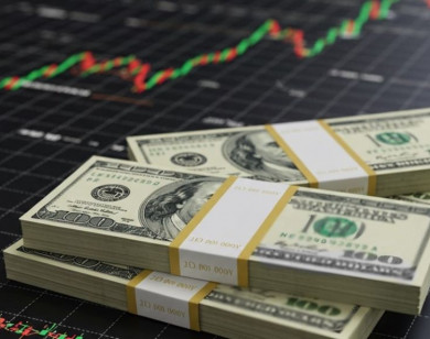 Giá ngoại tệ ngày 12/11/2025: USD suy yếu