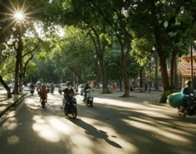 Thời tiết ngày 13/11/2025: Bắc Bộ ngày nắng, trời rét về đêm và sáng sớm