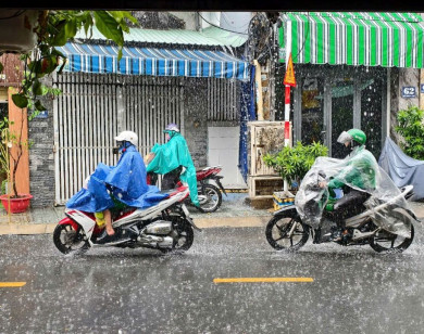 Thời tiết ngày 15/11/2025: Tây Nguyên và Nam Bộ có mưa dông chiều tối