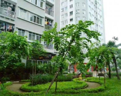 Hoàn thiện cơ chế pháp lý thúc đẩy phát triển nhà ở xã hội