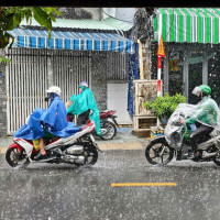 Thời tiết ngày 15/11/2025: Tây Nguyên và Nam Bộ có mưa dông chiều tối