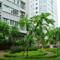 Hoàn thiện cơ chế pháp lý thúc đẩy phát triển nhà ở xã hội