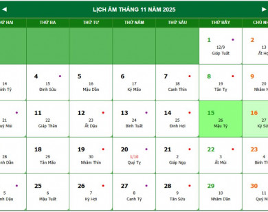 Lịch âm 16/11 chính xác nhất, lịch vạn niên ngày 16/11/2025: Việc nên và không nên làm?