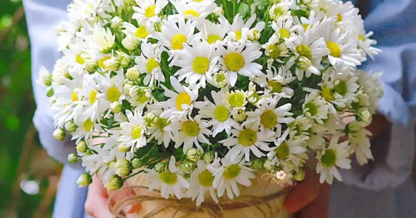 Tử vi ngày 17/11/2025 của 12 cung hoàng đạo: Thiên Bình tình hình tài chính ổn định