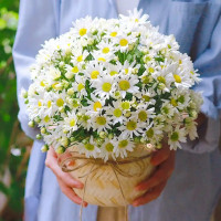 Tử vi ngày 17/11/2025 của 12 cung hoàng đạo: Thiên Bình tình hình tài chính ổn định